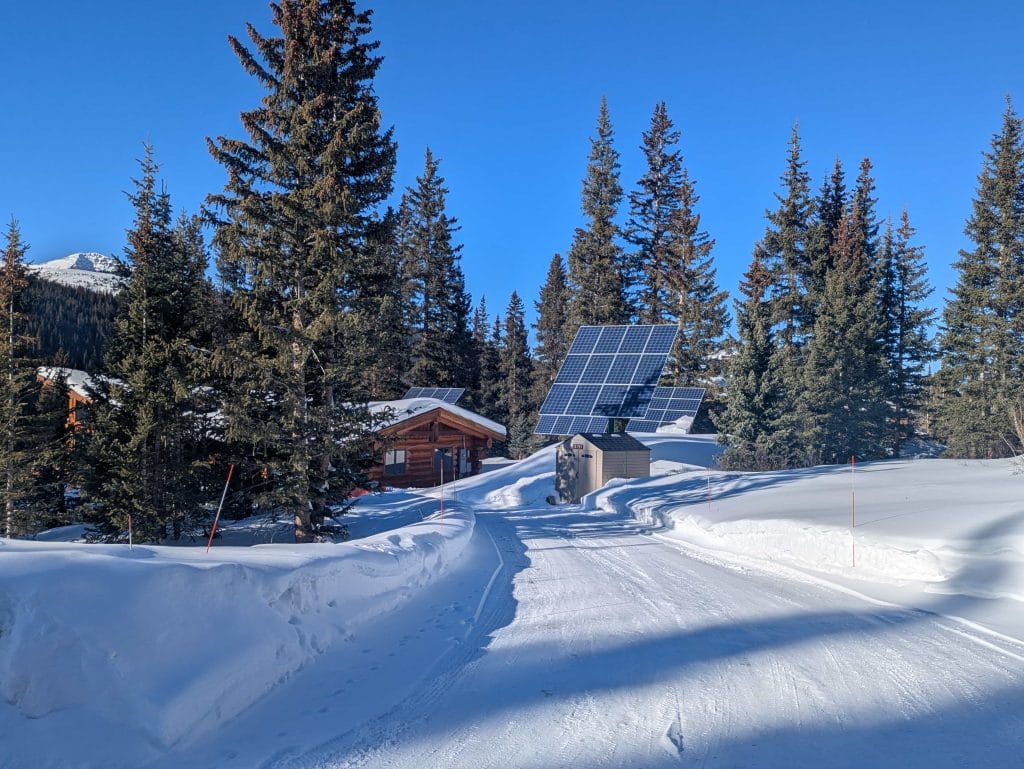 Breckenridge Tree Trimming and tree removal to protect the house and open up solar