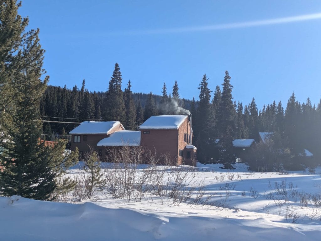 Summit County Tree Care job with Tree removals needed and a smoking chimney