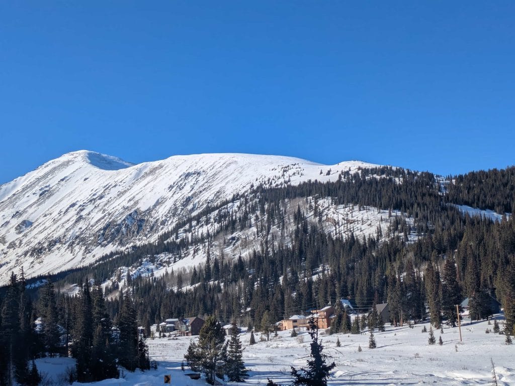 winter tree trimming picture of summit county tree care with a large snow covered peak in the background